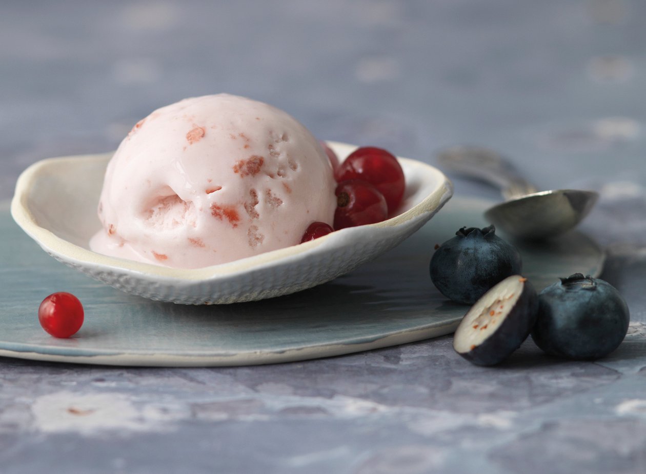 Base pur glace végétalienne