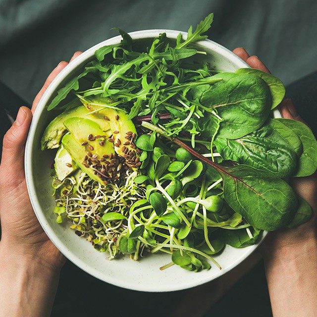 VIVE LA VERDURE!