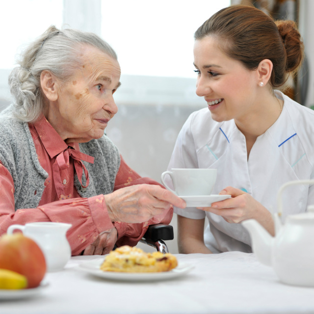Matériel d'information à Restauration des seniors